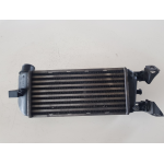 51787495 RADIATORE INTERCOOLER SCAMBIATORE ARIA/ARIA FIAT 500 1.3 D 55KW 5M 3P (2009) 169A1000