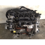 MOTORE COMPLETO FORD FIESTA 1.6 TDCI 5M 5P 66KW (2009) HHJD