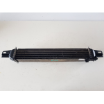 51790623 RADIATORE INTERCOOLER CITROEN NEMO 1.3 D 2012 199A9000