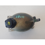 217107259R VASCHETTA SERBATOIO RECUPERO ACQUA MOTORE RENAULT CLIO 1.2 B 54KW GPL D4F P7