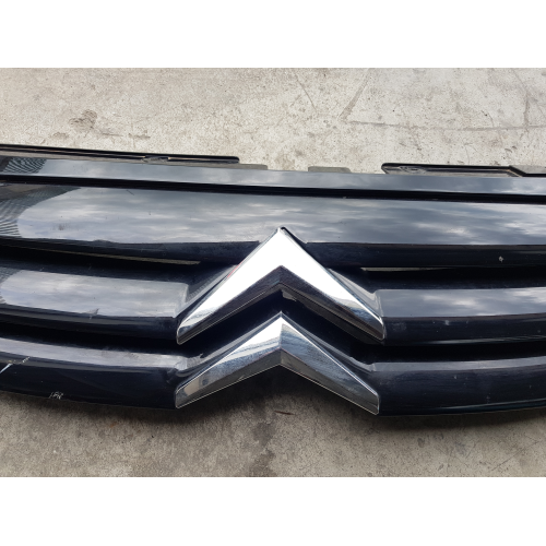 9680094177 GRIGLIA PARAURTI ANTERIORE CITROEN C3 1.1 B GPL 44KW 2009