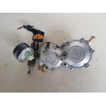 110R-000003 POLMONE GPL ROMANO INJECTION SYSTEM