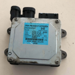 9652024280 CENTRALINA SERVOSTERZO CITROEN C2 1.4 D 50KW 2004 6900000528A