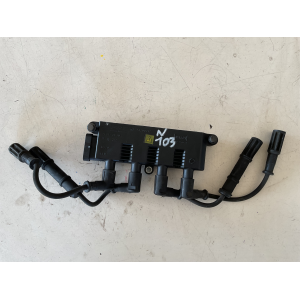 55200112 BOBINE ACCENSIONE FIAT 500 1.2 B 51KW ANNO 2010