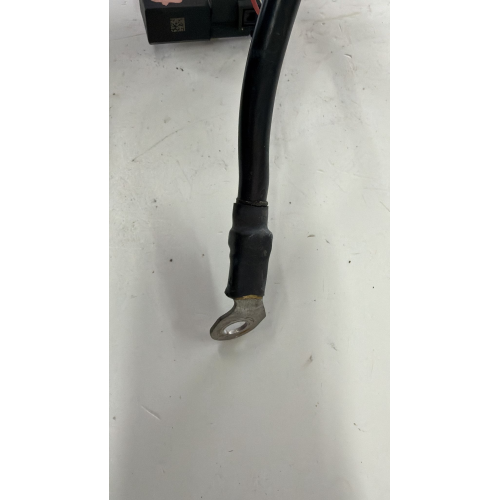 A1665420218 CAVO NEGATIVO Mercedes S204 C 220 CDI 2.2 D 170PS 125kW 2010 OM 646811 FEVA448640 6227787