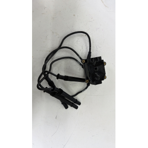 8200702693 77040001 BOBINA ACCENSIONE RENAULT MODUS CLIO 1.2 B 55KW 5M 5P (2005)
