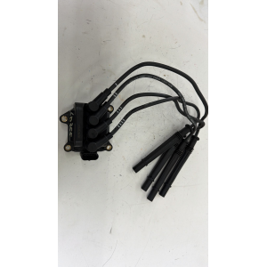 8200702693 77040001 BOBINA ACCENSIONE RENAULT MODUS CLIO 1.2 B 55KW 5M 5P (2005)
