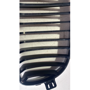7166439 GRIGLIA CROMATA PARAURTI ANTERIORE SINISTRA BMW 118 D E87 2005